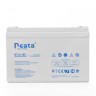 Аккумуляторная батарея Neata NT 12-100 купить в Санкт-Петербурге